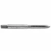 Century Drill & Tool Tap-Plug Carbon Steel 12-24 National Coarse - 95008 - Power Tool Accessories